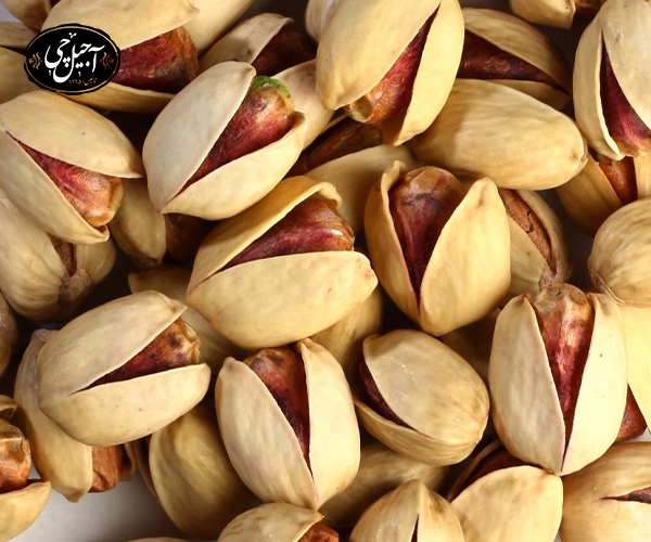 معرفی پسته فندقی 
