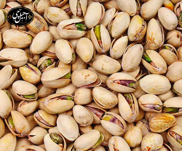 معرفی و بررسی پسته نمکی