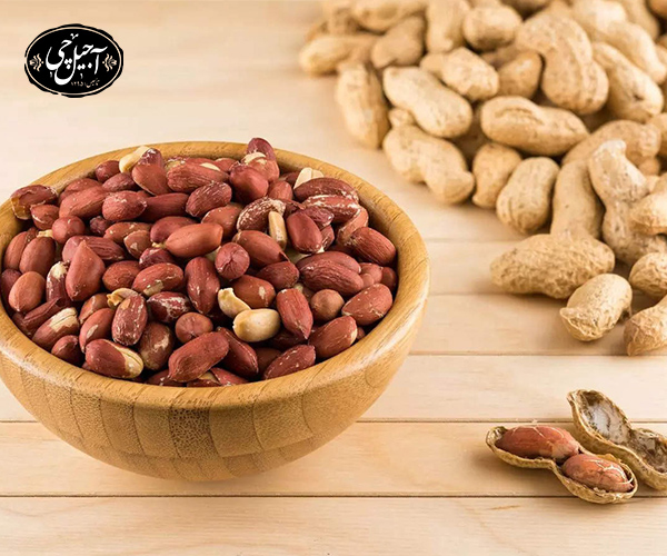 معرفی بادام زمینی