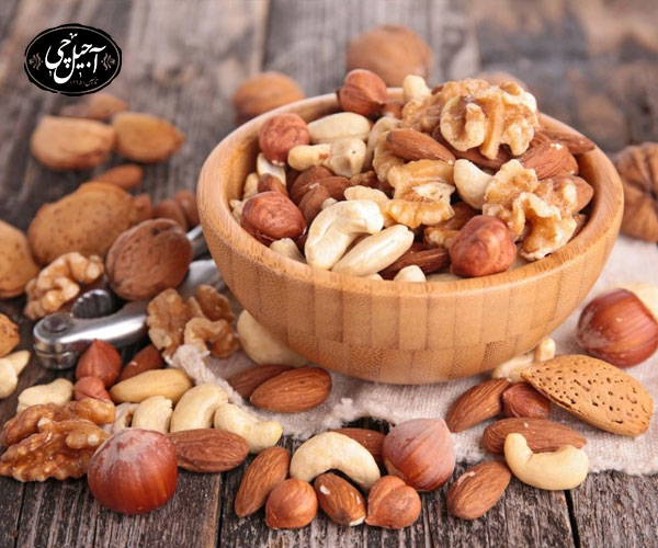 معرفی آجیل ارگانیک 