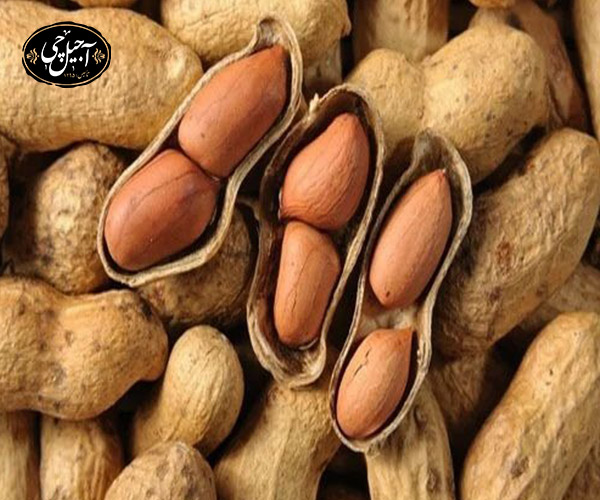 بادام زمینی بهترین آجیل‌ حافظه