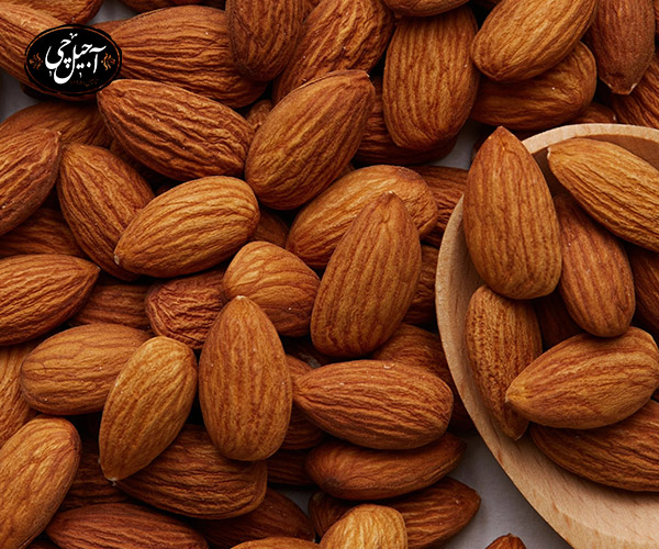 بادام درختی آجیل مفید تقویت حافظه
