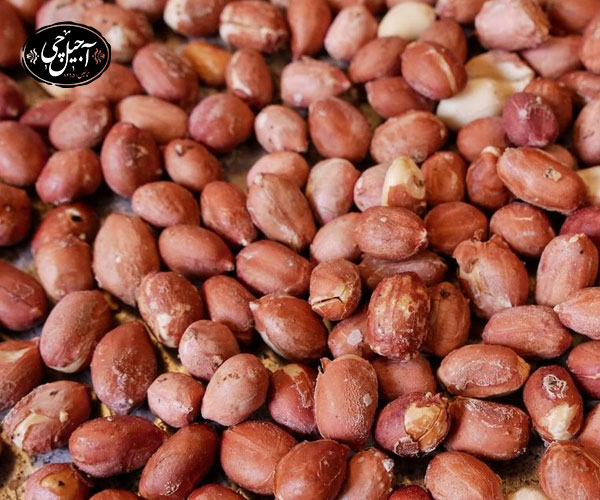 تشخیص فروشگاه آجیل چی اصل