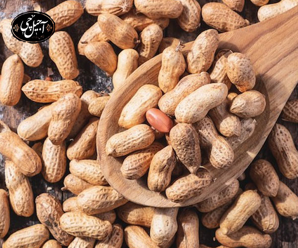 قیمت بادام زمینی