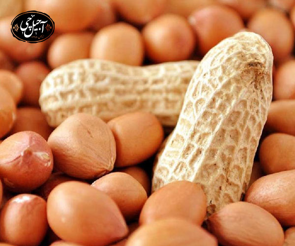 خرید بادام زمینی از آجیل چی
