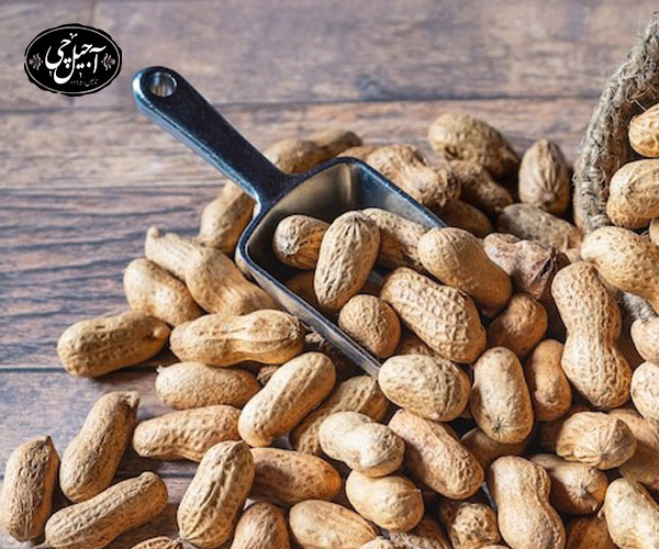 ارائه کد تخفیف با باشگاه مشتریان آجیل چی