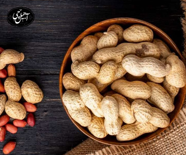 نحوه ثبت سفارش بادام زمینی 