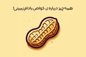 خواص بادام زمینی: 13 مورد از فواید بادام زمینی + عکس