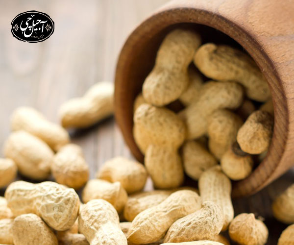 آدرس شعب فیزیکی فروشگاه رضا آجیل چی اصل