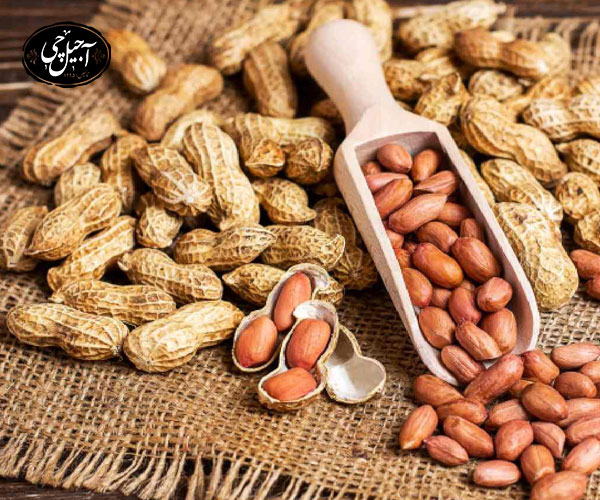 نحوه ارسال بادام زمینی از آجیل چی آنلاین