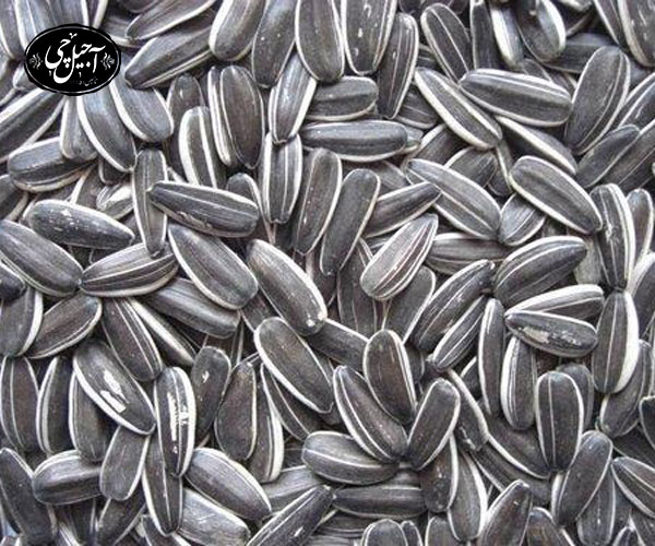 معرفی تخمه آفتابگردان