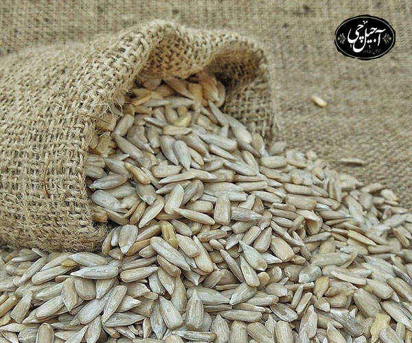 خواص تخمه آفتابگردان برای کودکان