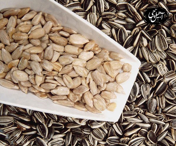 عوارض مصرف تخمه آفتابگردان 