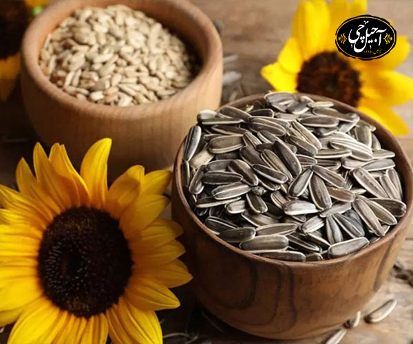خواص تخمه آفتابگردان برای سلامت استخوان‌ها