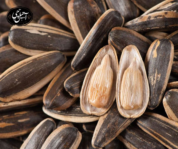 خواص تخمه آفتابگردان برای مغز