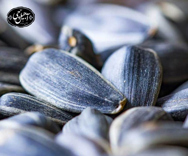 فواید خوراکی تخمه آفتابگردان برای سیستم گوارش 