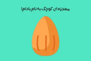 خواص بادام درختی: 14 فایده فوق العاده بادام درختی بر سلامتی و بهبود بیماری ها