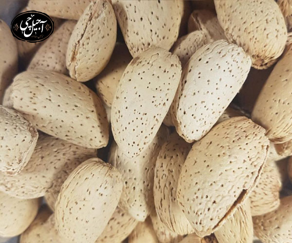 قیمت بادام درختی 