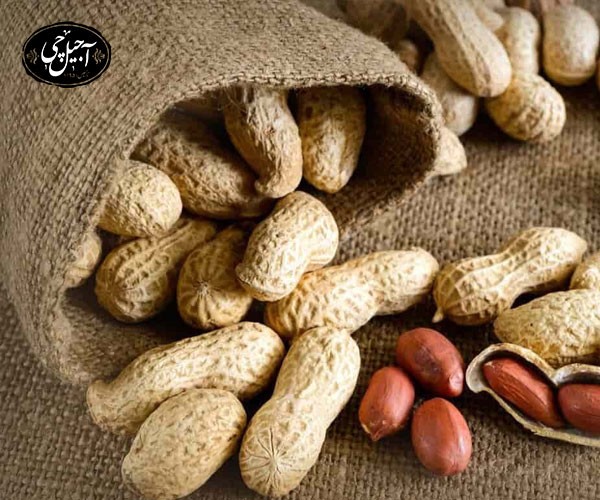 قیمت بادام زمینی در فروشگاه آجیل خشکبار آجیل چی