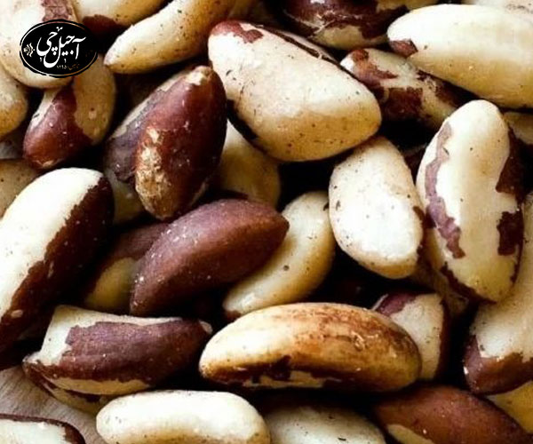 بادام برزیلی چیست ؟