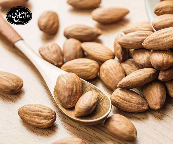 بادام کوهی همان بادام درختی است ؟