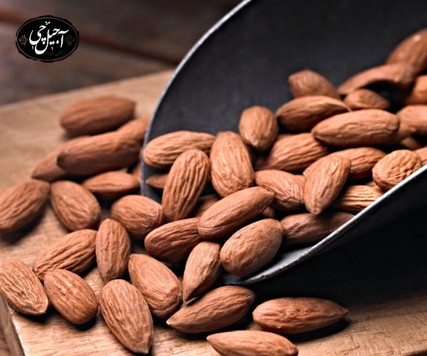 مزایای بادام استرالیایی 