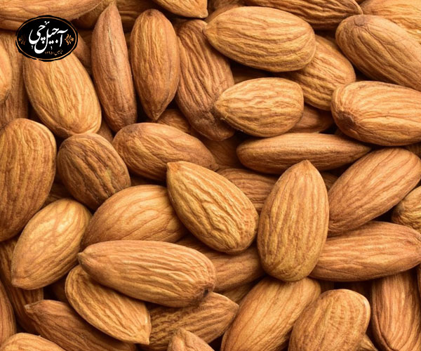 بادام امریکایی