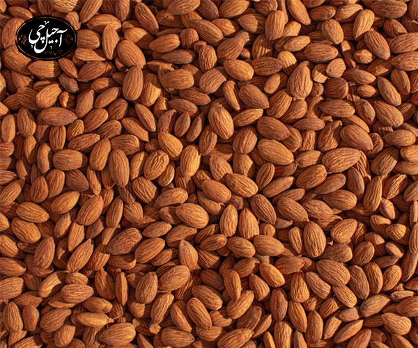 نحوه ارسال بادام درختی از فروشگاه آجیل چی 