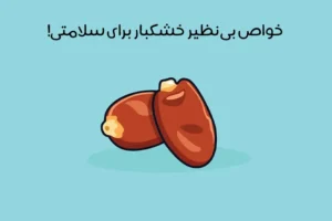 خشکبار چیست: معرفی 10 نوع خشکبار + مهم ترین فواید آن برای سلامتی