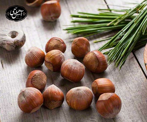 خواص فندق براي كودكان: 22. جذب بهتر آهن و درمان كم‌خوني