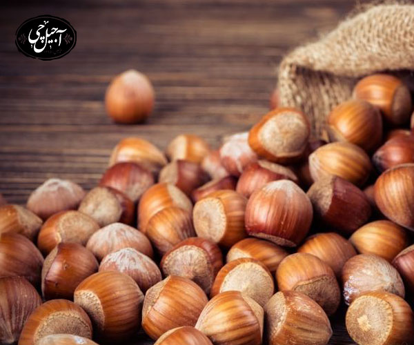 روش های پرداخت قیمت فندق 