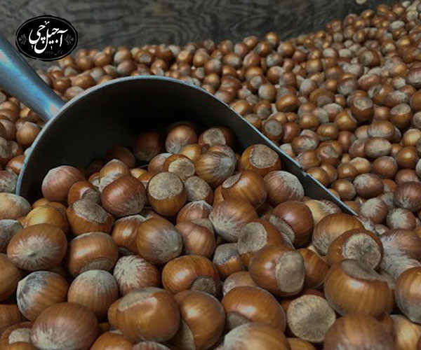 پیگیری سفارش فندق