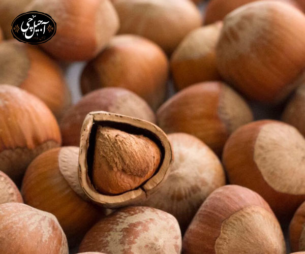 خواص فندق براي كودكان: 14. تقويت رشد