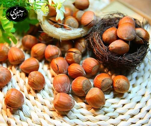  بسته بندی فندق در بسته های شیک و کادویی 