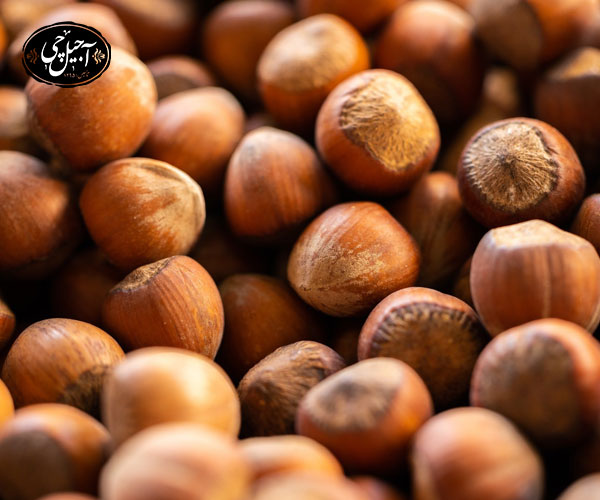 خرید فندق از آجیل چی 