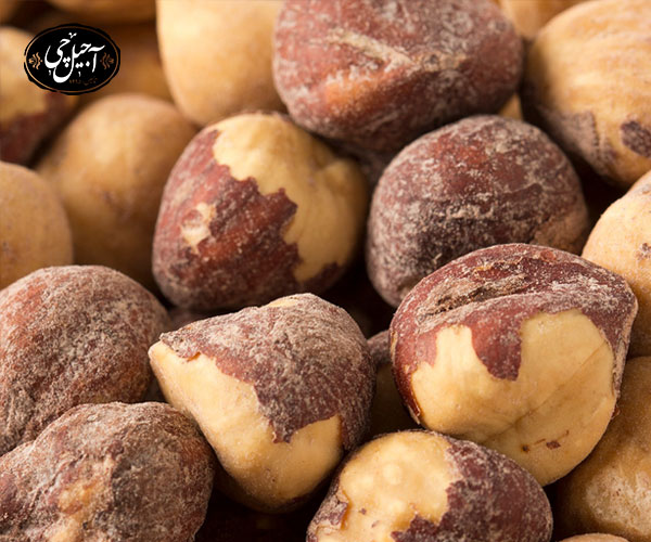 فندق شور یا نمکی