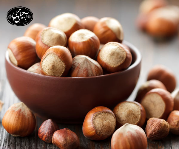 فندق با پوست