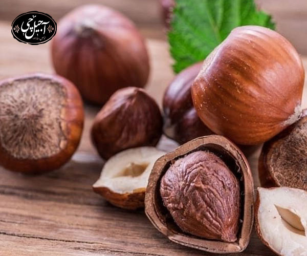 فندق ایرانی