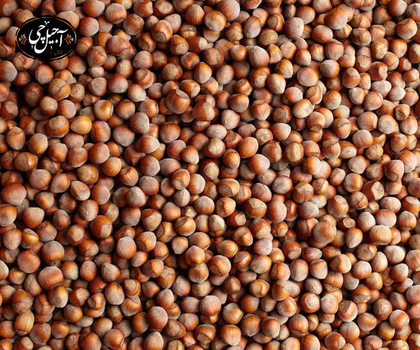 نحوه بسته بندی کالاهای ارسال شهرستان فندق آجیل چی