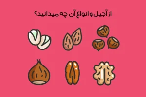 آجیل چیست: معرفی انواع آجیل ها و مغزها + مقایسه