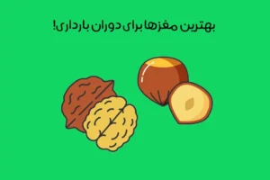 بهترین آجیل‌ برای زنان باردار: 7 آجیل مفید برای سلامت جنین + میزان مصرف