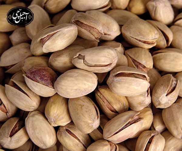 معرفی فروشگاه آجیل چی اصل