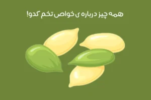 خواص تخمه کدو: معرفی 17 فایده تخمه کدو + عکس