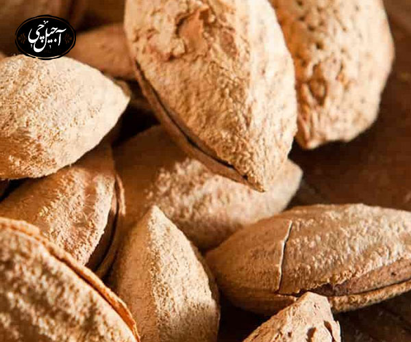 خرید بادام منقا خام با پوست 