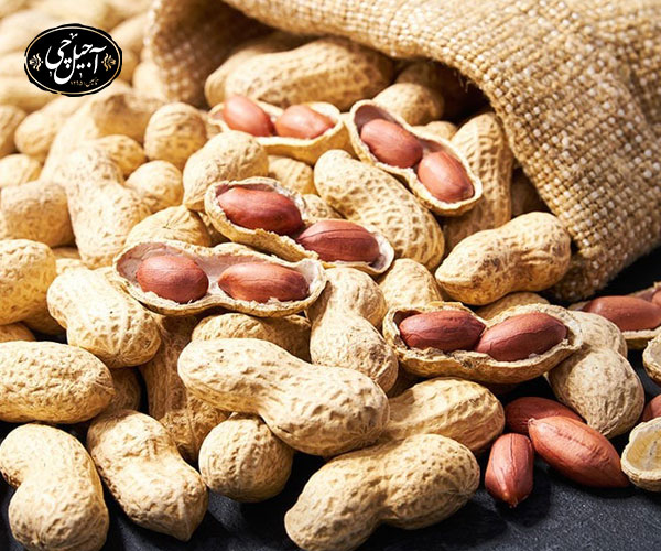 خواص بادام زمینی خام