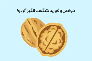 خواص گردو: معرفی 12 فایده بی نظیر گردو + عوارض احتمالی
