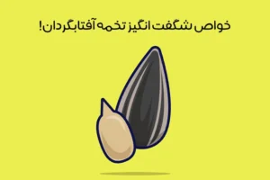 خواص تخمه آفتابگردان: 15 فایده بی نظیر تخمه آفتابگردان + عکس