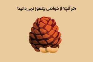 خواص چلغوز: 20 فایده حیرت آور چلغوز برای زنان و مردان + عکس