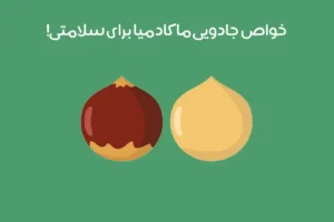 خواص ماکادمیا: 18 تاثیر شگفت انگیز فواید ماکادمیا بر سلامتی + عکس