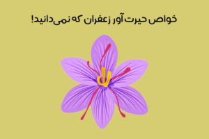 معرفی خواص زعفران